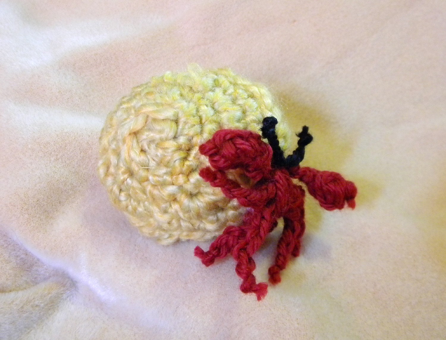 Holly The Hermit Crab