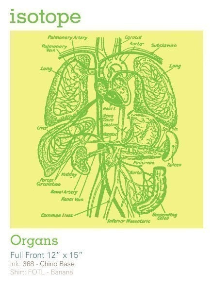 Organs Medical Illustration Diagram screen-print Anatomy T-Shirt (S,M,L,XL,XXL)