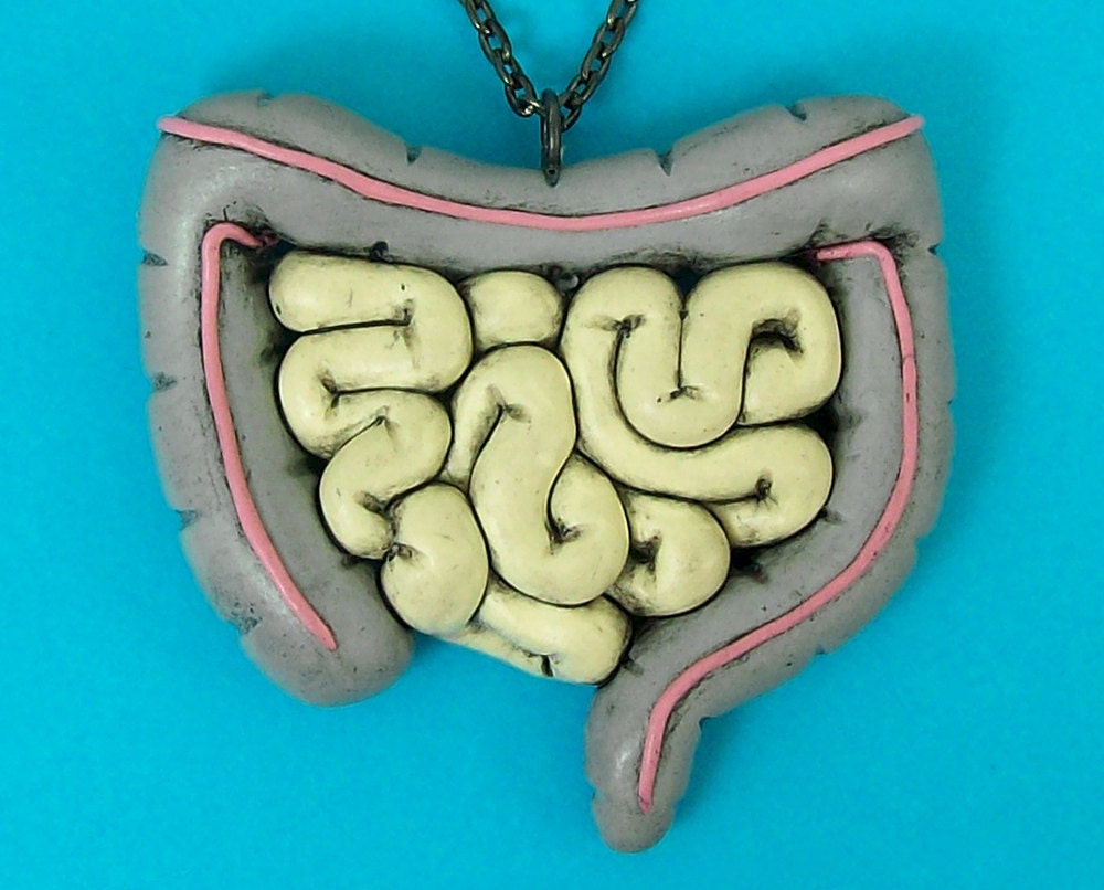 Anatomical Intestines Necklace
