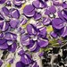 ORIGINAL Contemporary Purple Flowers Bouquet in Vase Thick Impasto Textured Oil Painting by Susanna