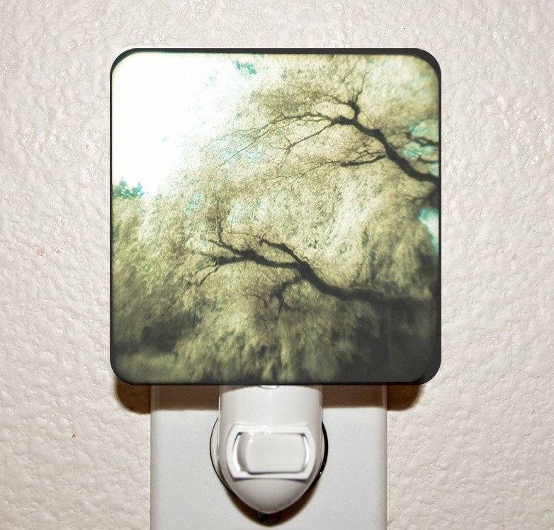 Willow Night Light