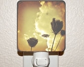 Aged Flowers Night Light