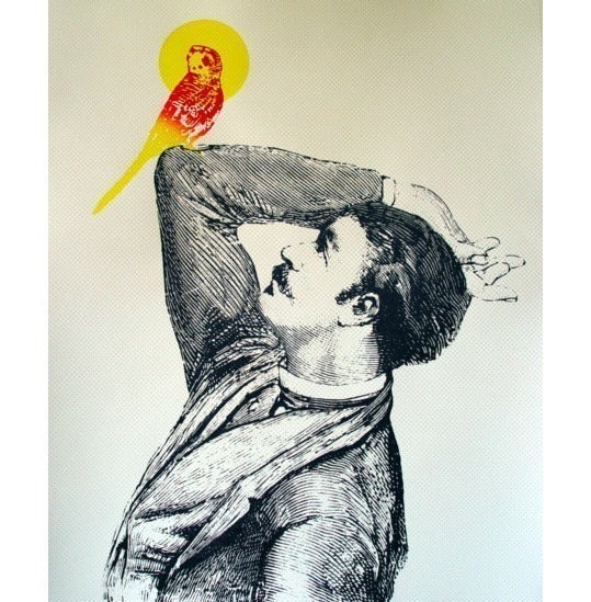 Budgie screenprint