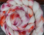 Supersorted BFL Superwash Roving (Top) Hand Painted Spinning or Felting Fibre 100g in speckled shades of rust and plum