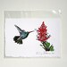 broad-billed hummingbird hand-colored print
