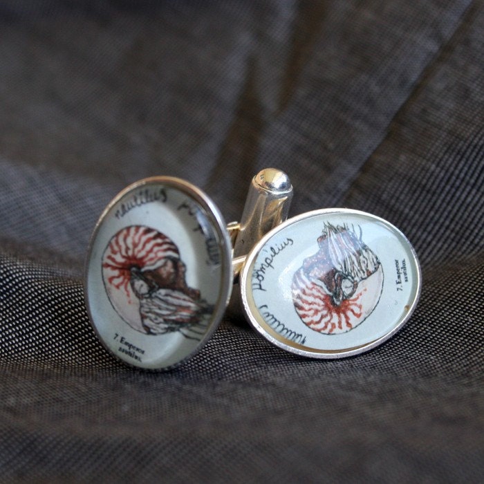 Nautilus cufflinks - natural history jewelry