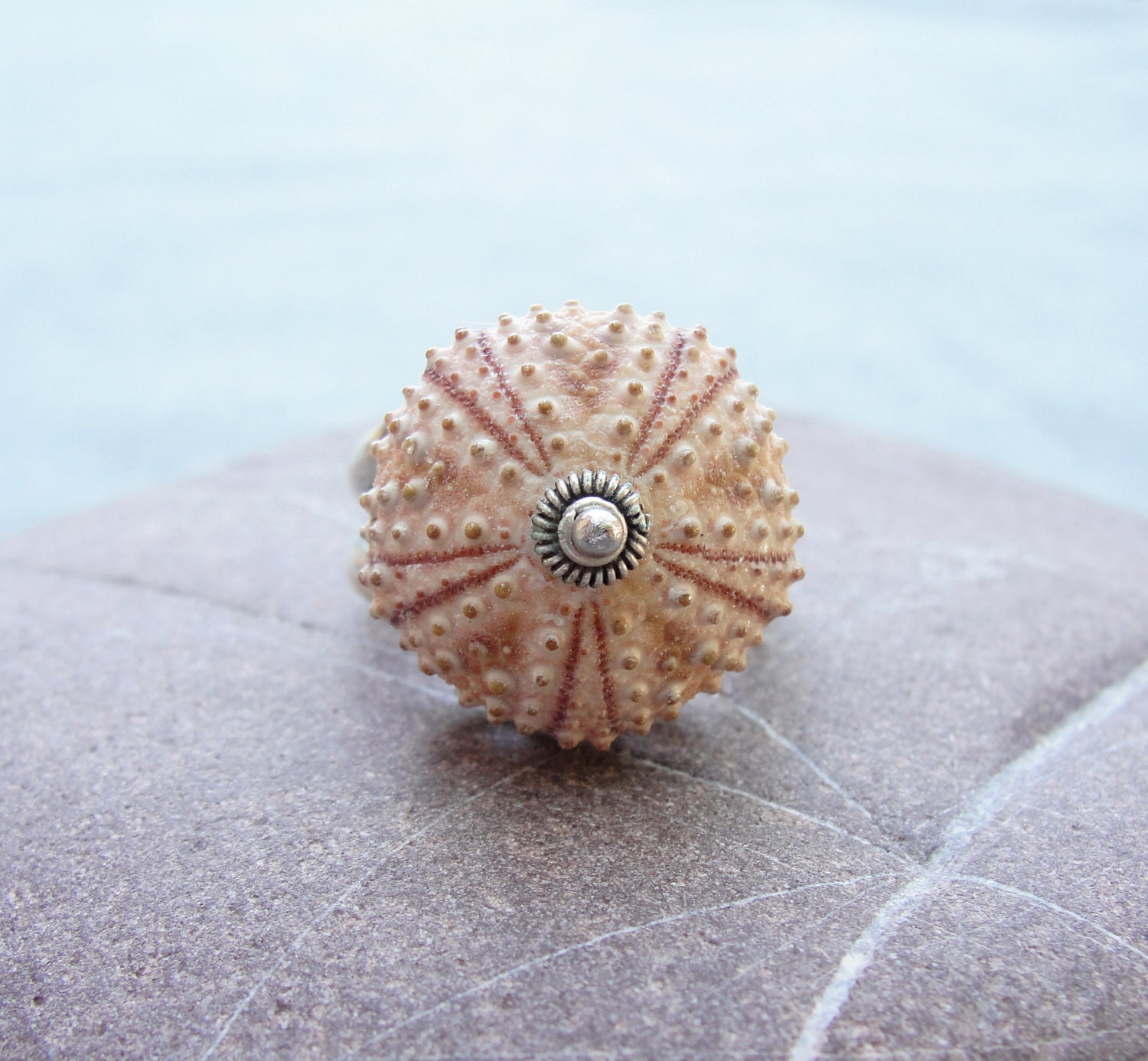 Sterling Silver Sea Urchin Ring Pastel Pink Sultan Ring
