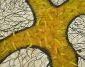 Fissure