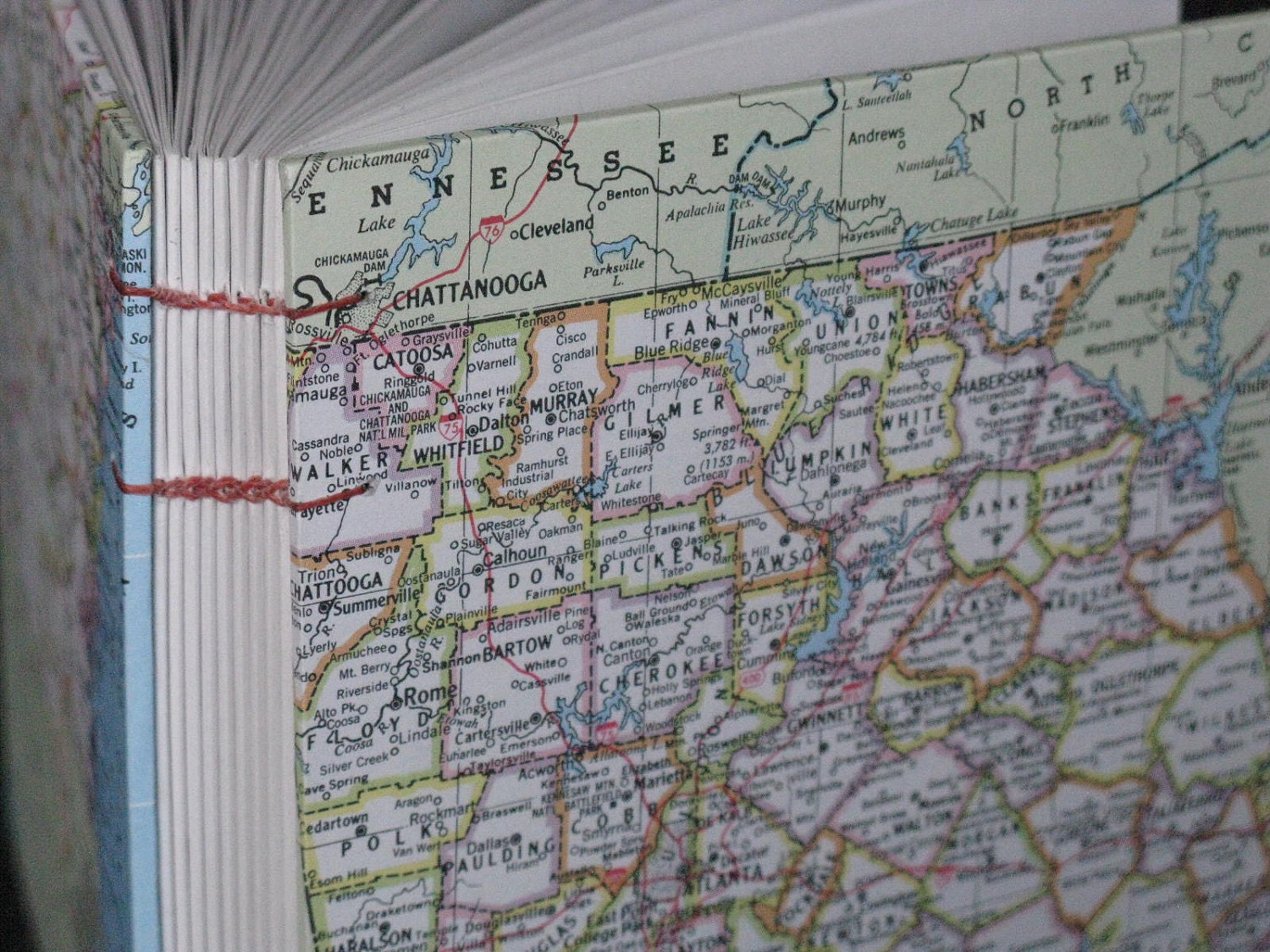 Georgia Map Journal