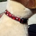 Puppy Love - Organic Cotton CAT Collar Breakaway Safety Red Hearts - All Antique Brass Hardware