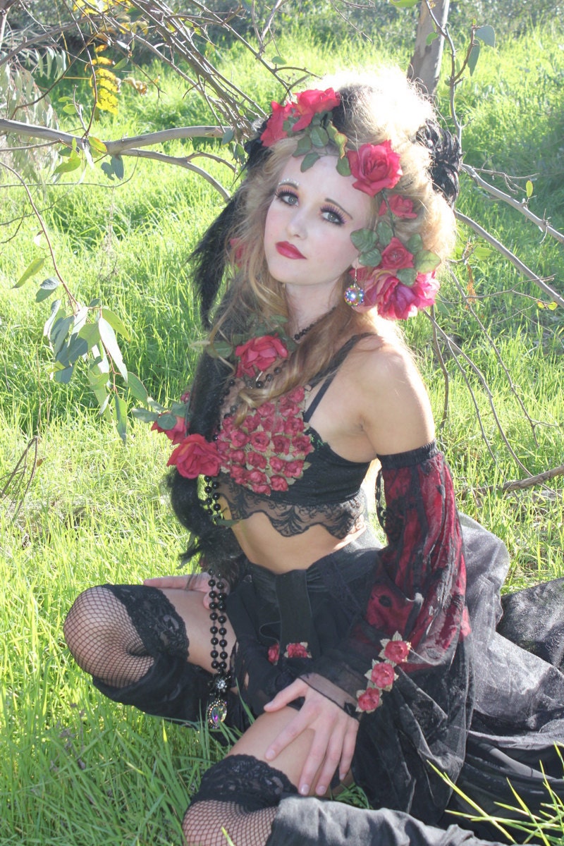 ROMANTIC Gothic Black Lace and Roses STEVIE Nicks PRINCESS Bustle dress with Juliet sleeves Ooak