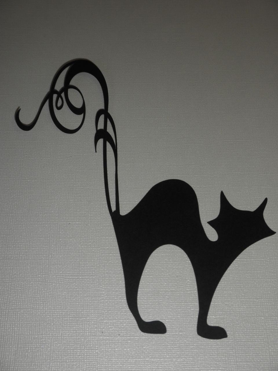Black Cat Scroll