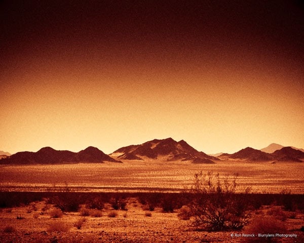 Mojave Desert Scene - 8 x 10 Fine Art Photograph Print