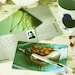 Postcard Pack -- Utterly Splendiferous