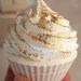 cupcake bath fizzie - cinnamon sugar