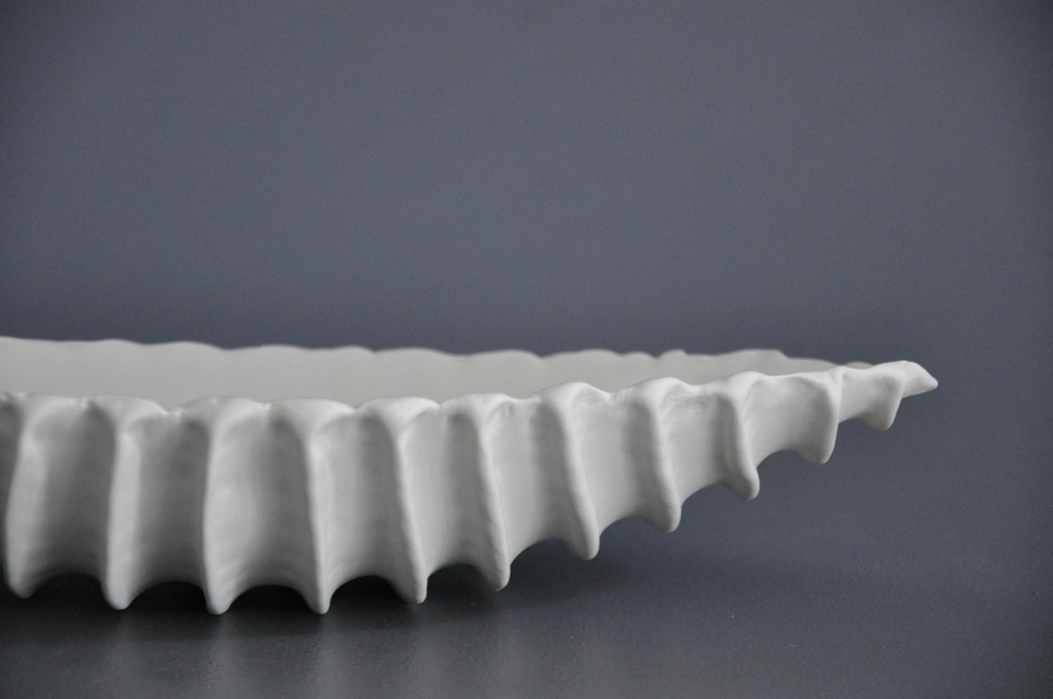 Porcelain Clam Shell Bowl - Oval Platter Contemporary Ceramic White Serving