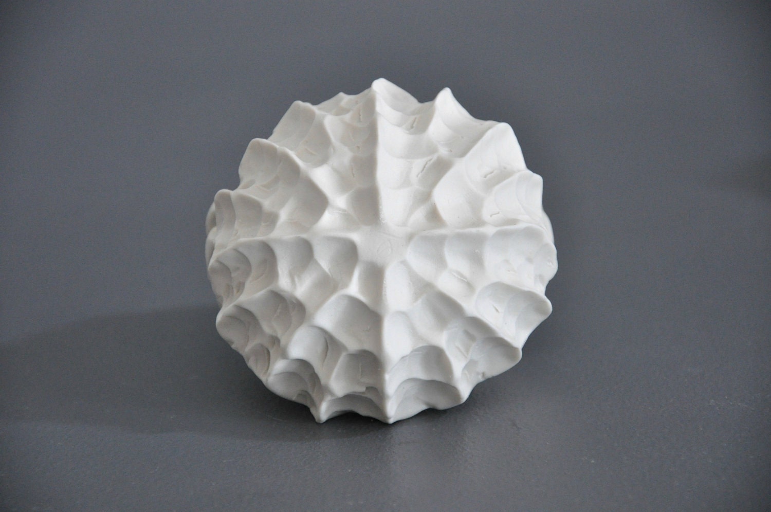 Jade Green Baby Scallop Textured Bowl - Ceramic Porcelain Beach Decor Bowl Sea Shell