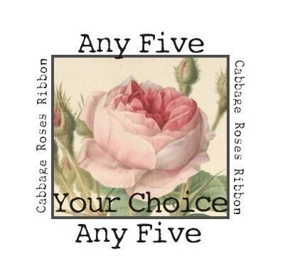 CHOOSE FIVE Cabbage Roses Ribbon