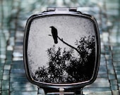 Crow Dual Mirror Compact