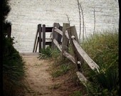 Path to the Ocean TTV 5x5 Metallic Print