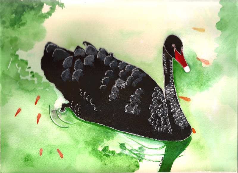 Black Swan on a Green Lake - Original Watercolor - 9 x 12