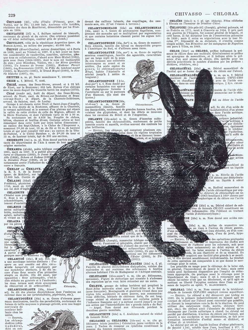 Bunny, Bunnie, Rabbit, Gift,repurposed, Vintage Book Page Prints, art, mixed media, buy 3 get 1 FREE,French, Paris.fathers day,eco.mom.child
