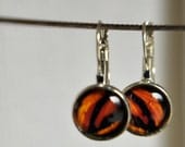 Brown and Orange Butterfly Wing Glass and Photo Earrings