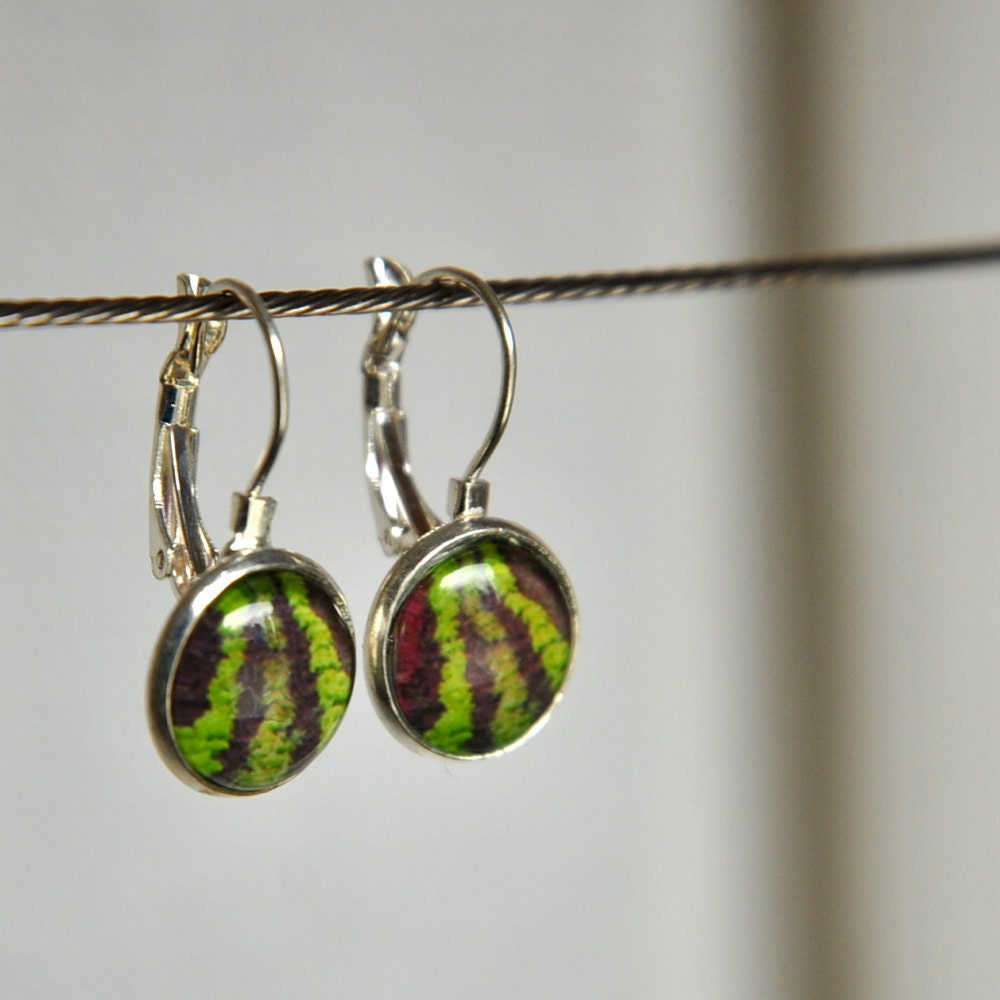 Organic Farm Lettuce Rows Glass and Photo Earrings
