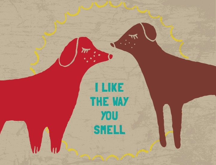 i like the way...