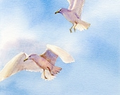 Flight giclee of two gulls
