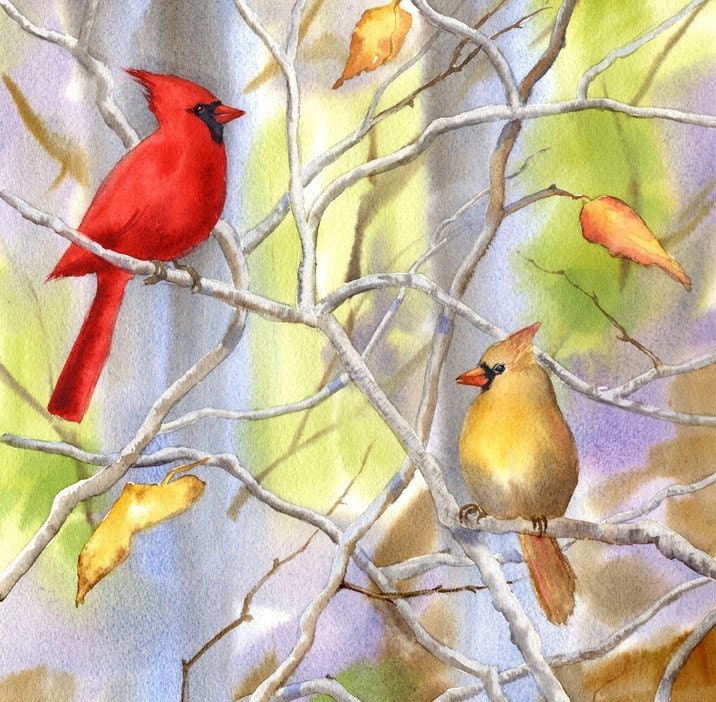 Cardinals