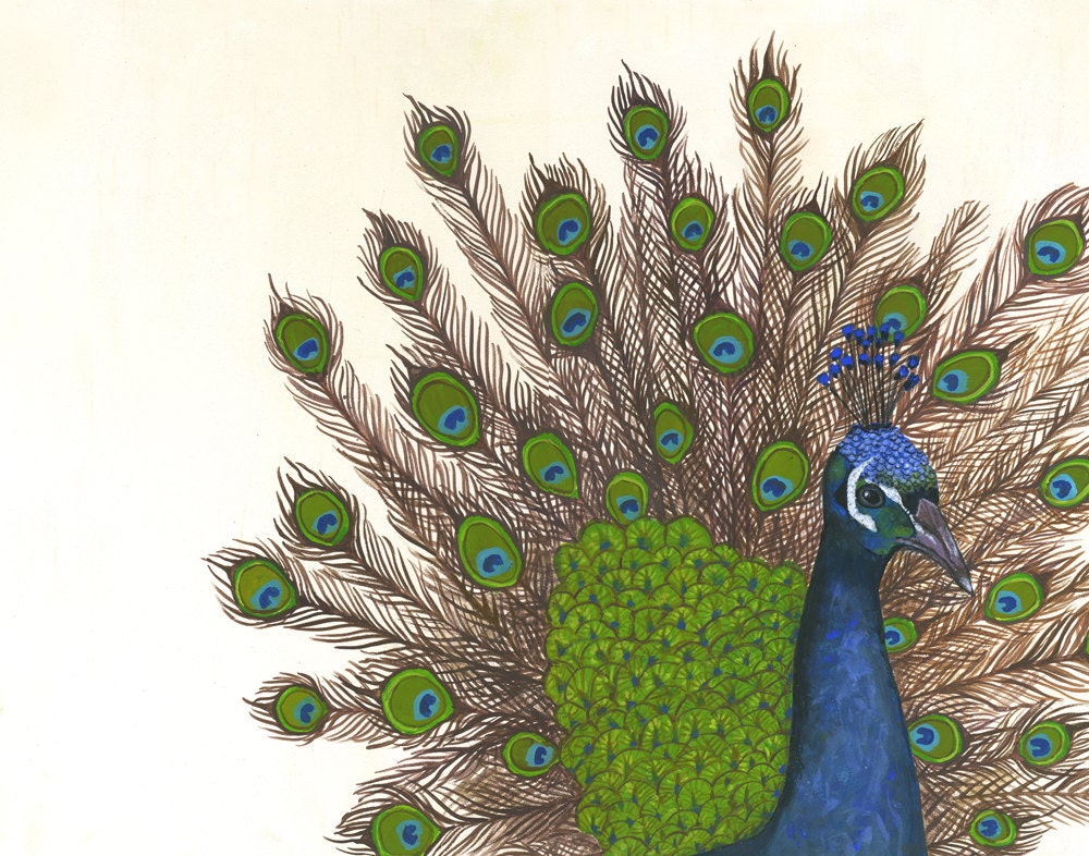 Grand Peacock Archival Print