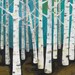 Large Birch Tree Forest Archival Print