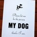 Please Let me be the Person my Dog Thinks I am.