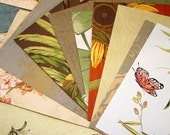 AA28 Wallpaper Samples, 10 Pounds Mixed Lot, for Collage, Scrapbook