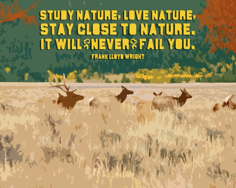 Study Nature, Love Nature 8x10 Matted Giclee Art Print