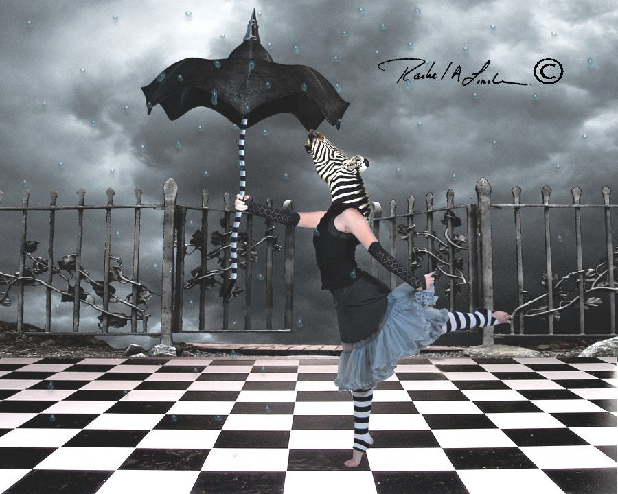 Zebra Rain