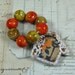 Cottage Charm and Bead Set 0512-69
