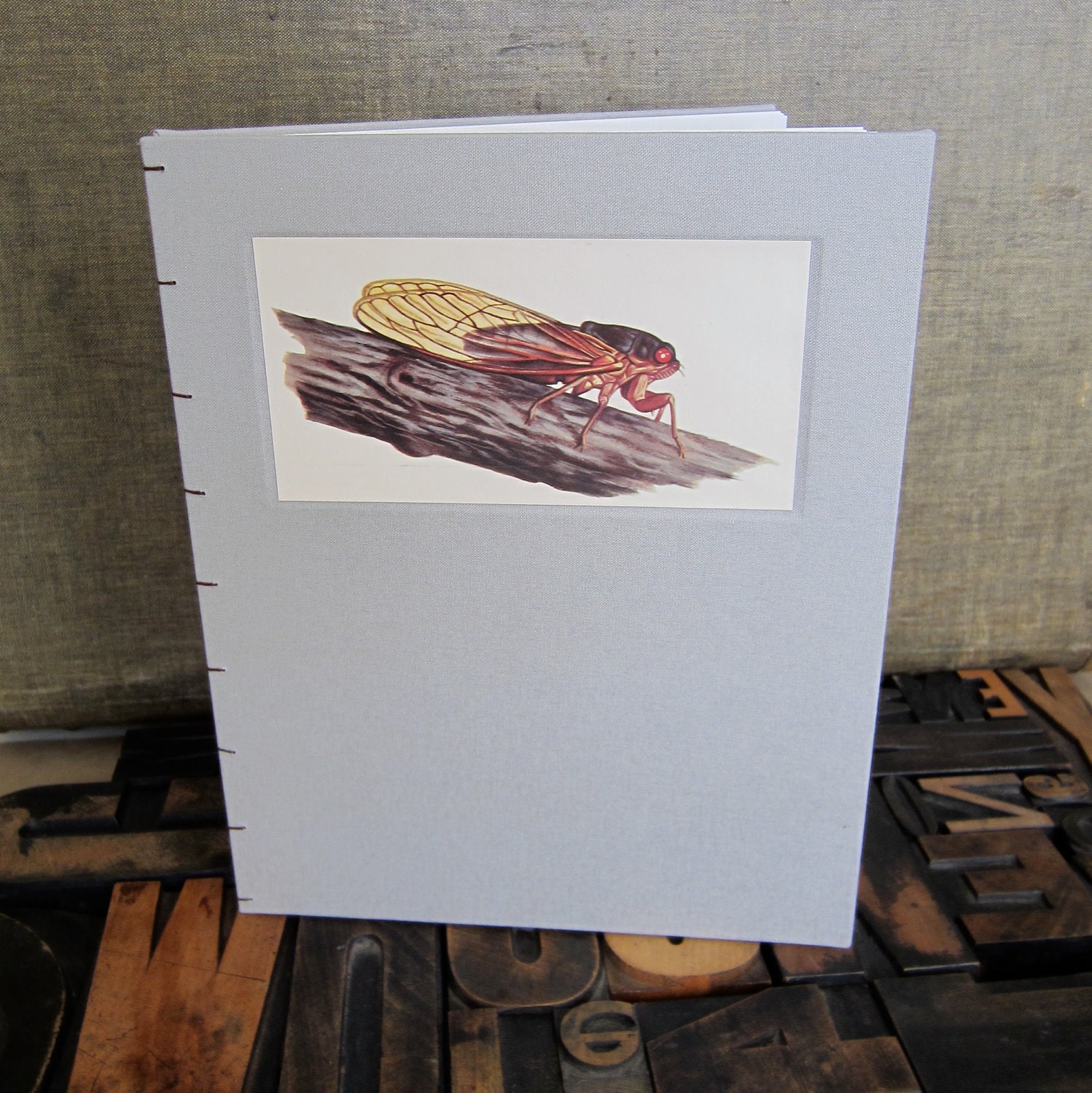Bug Journal - Cicada  