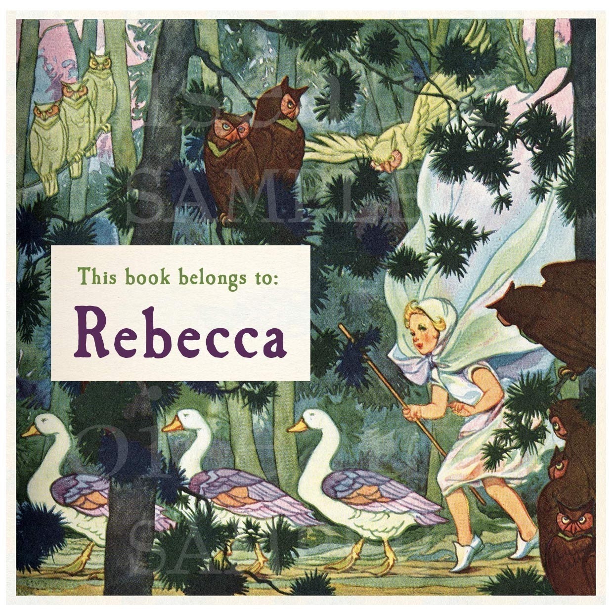 Vintage Bookplates - Owls and Forest Sprite - Personalized
