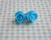 baby blue rosettes