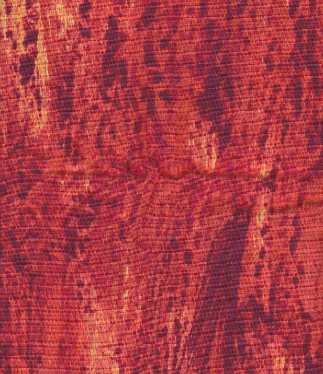 Fabric -- Brown Bear by Eric Carle -- Orange Paint (fd003) -- 1.5 yards