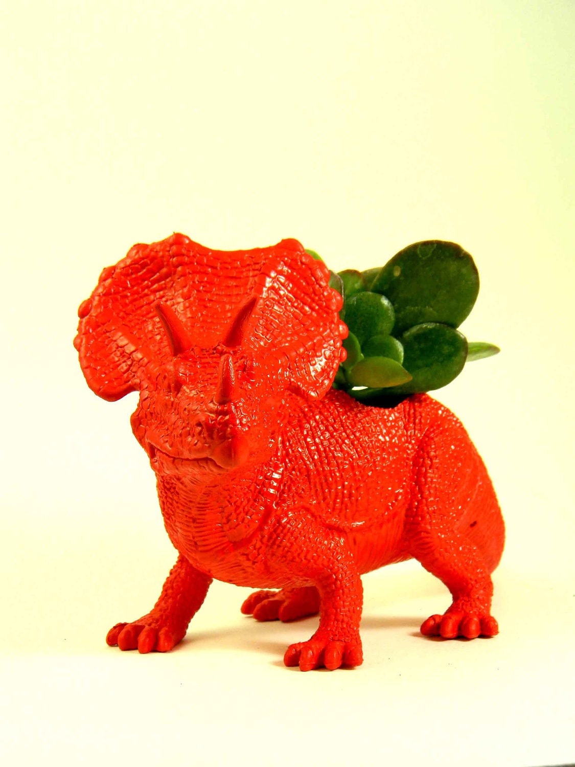Dinosaur Planter Red Succulent Planter Triceratop Great for Birthdays