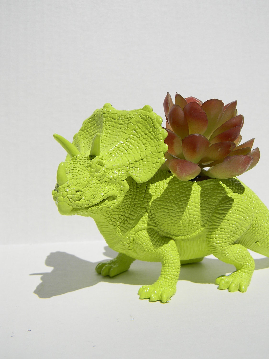 Triceratop Dinosaur Planter Green for Succulent Plant Great Dorm, Office Decor