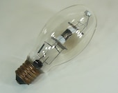 Industrial Chic XLarge Lightbulb