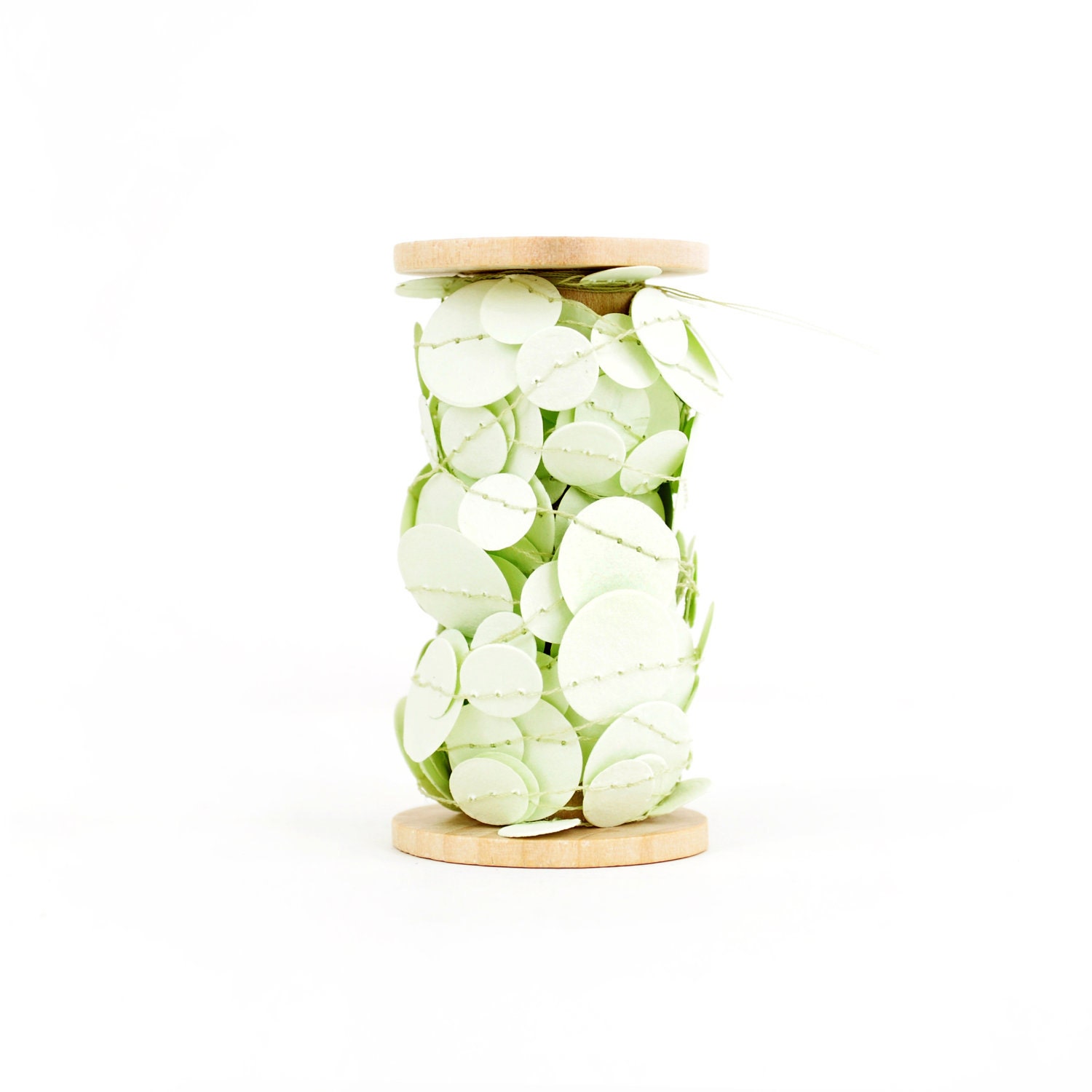 Endive Confetti Garland