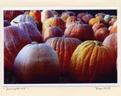 Pumpkins - Handmade - Photo Greeting Cards - Note Cards - Orange - Harvest - Seasonal - Thanksgiving - Holiday