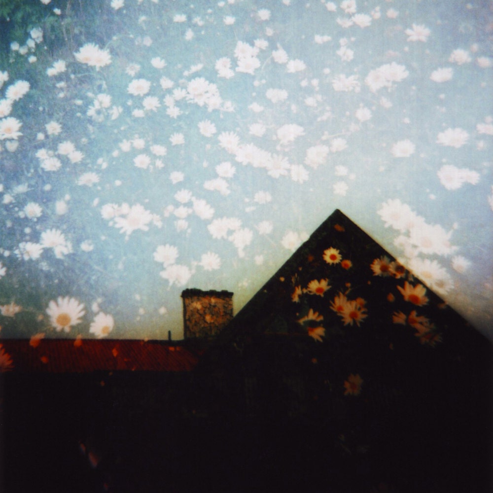 seeing double lV, 8x10 archival print photograph featuring double exposure of surreal northern inn with daisies