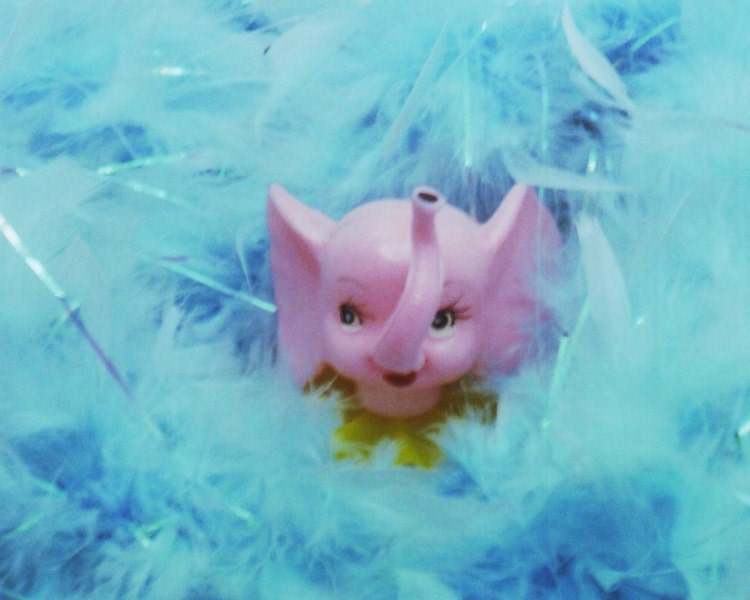 pink elephant, 8x10 photograph of vintage plastic elephant head and blue feather boa