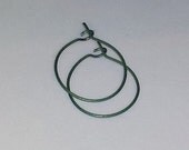 Hoop Earrings Titanium